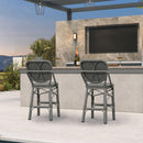 Clearance-PURPLE LEAF Outdoor Woven Bar Stools Set of 2, Aluminum Frame Counter Stools, for Pool Garden