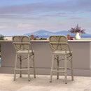 Clearance-PURPLE LEAF Outdoor Woven Bar Stools Set of 2, Aluminum Frame Counter Stools, for Pool Garden
