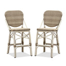Clearance-PURPLE LEAF Outdoor Woven Bar Stools Set of 2, Aluminum Frame Counter Stools, for Pool Garden