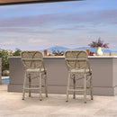 Clearance-PURPLE LEAF Outdoor Woven Bar Stools Set of 2, Aluminum Frame Counter Stools, for Pool Garden