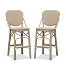 Clearance-PURPLE LEAF Outdoor Woven Bar Stools Set of 2, Aluminum Frame Counter Stools, for Pool Garden