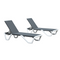 PURPLE LEAF Patio Chaise Lounge Set of 2 Plastic Pool Outdoor Lounge Chair with Aluminum Frame Stackable Patio Tanning Chairs for Poolside Sunbathing Beach Deck Yard