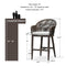 OPEN BOX I PURPLE LEAF Patio Chairs, 2 Set Outdoor Bar Stools Modern Counter Height Bar, Cushions Included