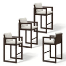 PURPLE LEAF Caesar Bar Stools Set of 2 Modern Aluminum Barstools with Stainless Removable Cushion for Kitchen Outside Island Backyard