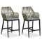 Clearance-PURPLE LEAF Modern Bar Stool Set of 2, Woven Counter Stools with Back, Bistro Bar Stools