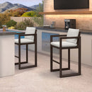 PURPLE LEAF Caesar Bar Stools Set of 2 Modern Aluminum Barstools with Stainless Removable Cushion for Kitchen Outside Island Backyard