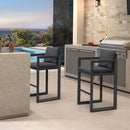 PURPLE LEAF Outdoor Bar Stools Set of 2 Modern Aluminum Barstools with Stainless Removable Cushion Patio Bar Stool for Kitchen Outside Island Backyard