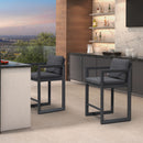 PURPLE LEAF Outdoor Bar Stools Set of 2 Modern Aluminum Barstools with Stainless Removable Cushion Patio Bar Stool for Kitchen Outside Island Backyard