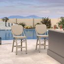 Clearance-PURPLE LEAF Outdoor Woven Bar Stools Set of 2, Aluminum Frame Counter Stools, for Pool Garden