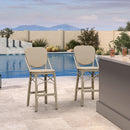 Clearance-PURPLE LEAF Outdoor Woven Bar Stools Set of 2, Aluminum Frame Counter Stools, for Pool Garden