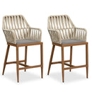 Clearance-PURPLE LEAF Modern Bar Stool Set of 2, Woven Counter Stools with Back, Bistro Bar Stools