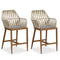 Clearance-PURPLE LEAF Modern Bar Stool Set of 2, Woven Counter Stools with Back, Bistro Bar Stools