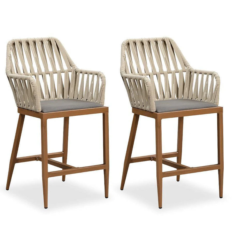 Clearance-PURPLE LEAF Modern Bar Stool Set of 2, Woven Counter Stools with Back, Bistro Bar Stools
