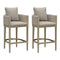 PURPLE LEAF Outdoor Bar Stools Set of 2 Modern Olefin Weaving Bar Chairs with Backrest Pillow for Patio, Poolside or Indoor