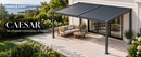 PURPLE LEAF Caesar Lean to Louvered Pergola, Slanted Roof Aluminum Patio Pergola with Adjustable Louvers and Hidden Drainage, Heavy-Duty Gazebo with a Wall Mounted Look for Patios,Backyards Decks,Gray