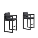 PURPLE LEAF Outdoor Bar Stools Set of 2 Modern Aluminum Barstools with Stainless Removable Cushion Patio Bar Stool for Kitchen Outside Island Backyard