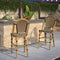 PURPLE LEAF French Counter Height Bar Height Stool Set of 2, Patio Bar Chairs with Back Rattan, French Bistro Set
