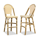 PURPLE LEAF French Counter Height Bar Height Stool Set of 2, Patio Bar Chairs with Back Rattan, French Bistro Set