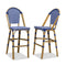 PURPLE LEAF French Counter Height Bar Height Stool Set of 2, Patio Bar Chairs with Back Rattan, French Bistro Set