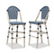 PURPLE LEAF French Counter Height Bar Height Stool Set of 2, Patio Bar Chairs with Back Rattan, French Bistro Set