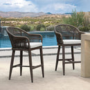 PURPLE LEAF Outdoor Bar Stools Set of 2 Rattan Bar Stools Counter Stools with Back and Cushions  for Patio, Garden, Kitchen