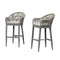 PURPLE LEAF Outdoor Bar Stools Set of 2 Rattan Bar Stools Counter Stools with Back and Cushions  for Patio, Garden, Kitchen