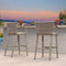 PURPLE LEAF Outdoor Bar Stool Set of 2 Aluminum Frame Bar Chair with Cushion and Back Kitchen Island Bar Stools