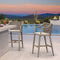 PURPLE LEAF Outdoor Bar Stool Set of 2 Aluminum Frame Bar Chair with Cushion and Back Kitchen Island Bar Stools