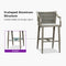 PURPLE LEAF Outdoor Bar Stool Set of 2 Aluminum Frame Bar Chair with Cushion and Back Kitchen Island Bar Stools