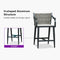 PURPLE LEAF Outdoor Bar Stool Set of 2 Aluminum Frame Bar Chair with Cushion and Back Kitchen Island Bar Stools