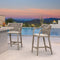 PURPLE LEAF Outdoor Bar Stool Set of 2 Aluminum Frame Bar Chair with Cushion and Back Kitchen Island Bar Stools