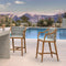 PURPLE LEAF Outdoor Bar Stool Set of 2 Aluminum Frame Bar Chair with Cushion and Back Kitchen Island Bar Stools