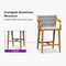 PURPLE LEAF Outdoor Bar Stool Set of 2 Aluminum Frame Bar Chair with Cushion and Back Kitchen Island Bar Stools