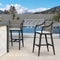 PURPLE LEAF Outdoor Bar Stool Set of 2 Aluminum Frame Bar Chair with Cushion and Back Kitchen Island Bar Stools