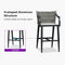 PURPLE LEAF Outdoor Bar Stool Set of 2 Aluminum Frame Bar Chair with Cushion and Back Kitchen Island Bar Stools