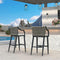 PURPLE LEAF Outdoor Bar Stool Set of 2 Aluminum Frame Bar Chair with Cushion and Back Kitchen Island Bar Stools
