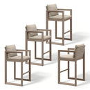 PURPLE LEAF Caesar Bar Stools Set of 2 Modern Aluminum Barstools with Stainless Removable Cushion for Kitchen Outside Island Backyard