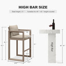 PURPLE LEAF Caesar Bar Stools Set of 2 Modern Aluminum Barstools with Stainless Removable Cushion for Kitchen Outside Island Backyard