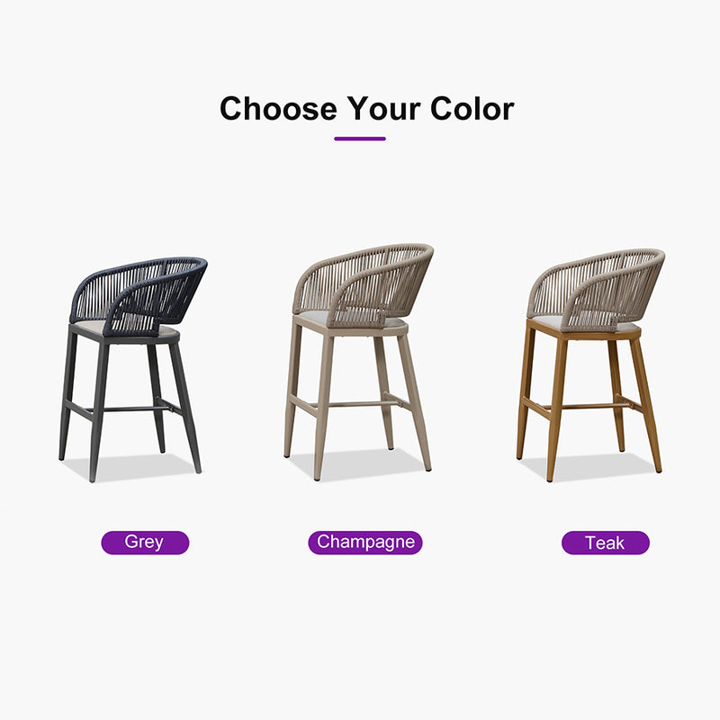 PURPLE LEAF Outdoor Bar stools Stools Set of 2 Rattan Bar Chairs with Embedded Cushions and  Back for Outdoor or Indoor
