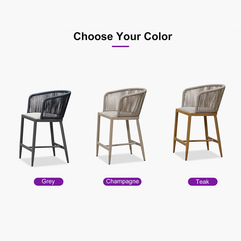 PURPLE LEAF Outdoor Bar stools Stools Set of 2 Rattan Bar Chairs with Embedded Cushions and  Back for Outdoor or Indoor