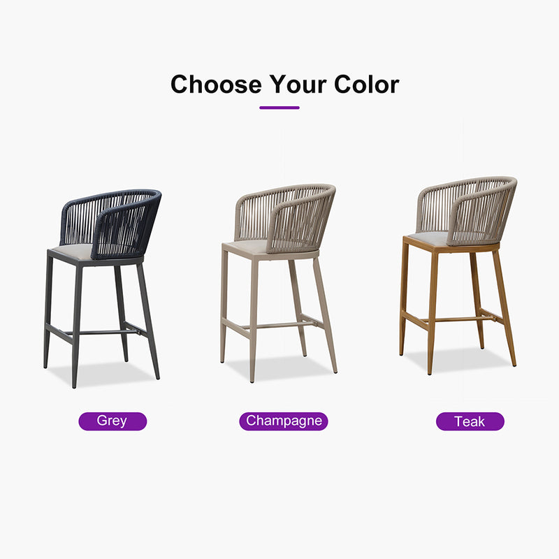 PURPLE LEAF Outdoor Bar stools Stools Set of 2 Rattan Bar Chairs with Embedded Cushions and  Back for Outdoor or Indoor