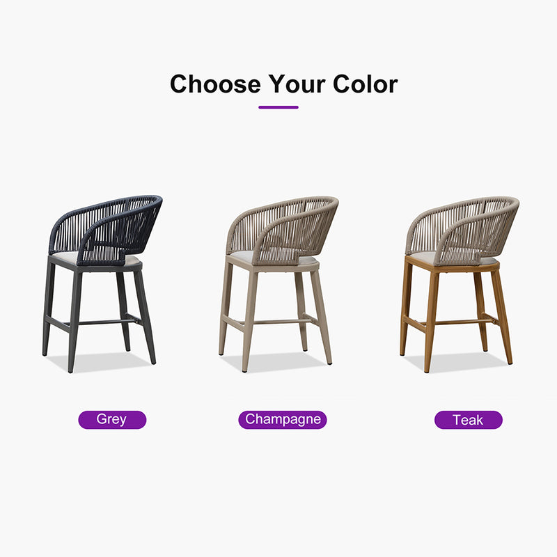 PURPLE LEAF Outdoor Bar stools Stools Set of 2 Rattan Bar Chairs with Embedded Cushions and  Back for Outdoor or Indoor