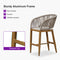 PURPLE LEAF Outdoor Bar stools Stools Set of 2 Rattan Bar Chairs with Embedded Cushions and  Back for Outdoor or Indoor