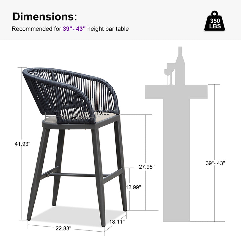 PURPLE LEAF Outdoor Bar stools Stools Set of 2 Rattan Bar Chairs with Embedded Cushions and  Back for Outdoor or Indoor