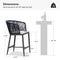 PURPLE LEAF Outdoor Bar stools Stools Set of 2 Rattan Bar Chairs with Embedded Cushions and  Back for Outdoor or Indoor