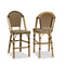 PURPLE LEAF French Counter Height Bar Height Stool Set of 2, Patio Bar Chairs with Back Rattan, French Bistro Set