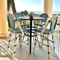PURPLE LEAF French Counter Height Bar Height Stool Set of 2, Patio Bar Chairs with Back Rattan, French Bistro Set