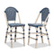 PURPLE LEAF French Counter Height Bar Height Stool Set of 2, Patio Bar Chairs with Back Rattan, French Bistro Set
