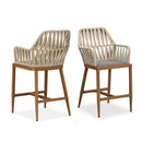 Clearance-PURPLE LEAF Modern Bar Stool Set of 2, Woven Counter Stools with Back, Bistro Bar Stools