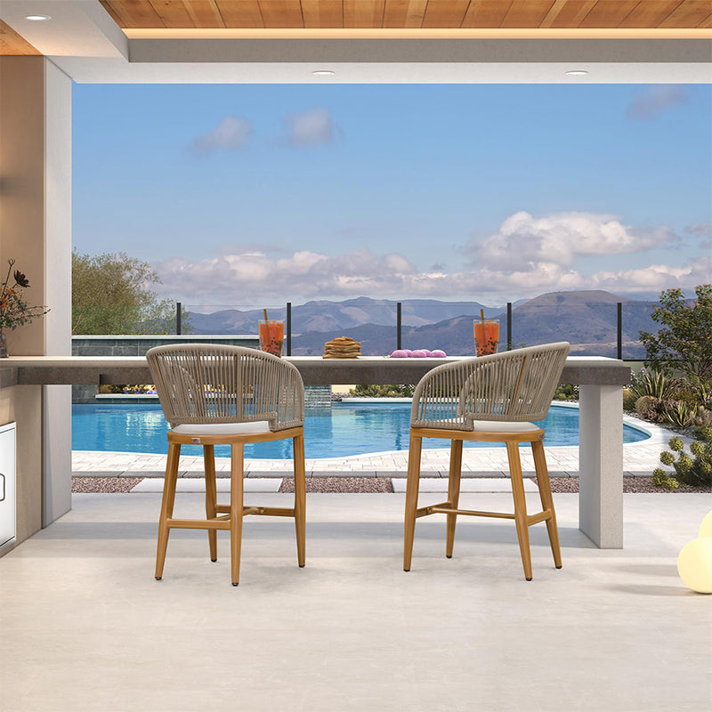 PURPLE LEAF Outdoor Bar stools Stools Set of 2 Rattan Bar Chairs with Embedded Cushions and  Back for Outdoor or Indoor